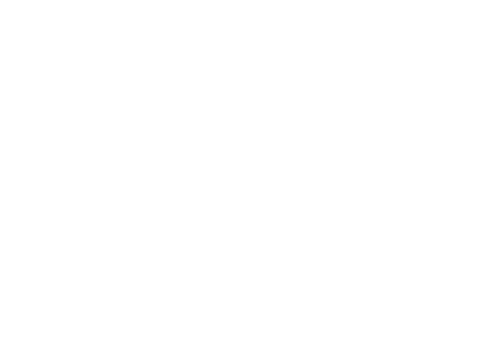 Premier League